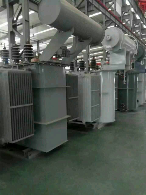 密山S11-6300KVA油浸式变压器